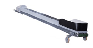 INGRAIN150 BELT